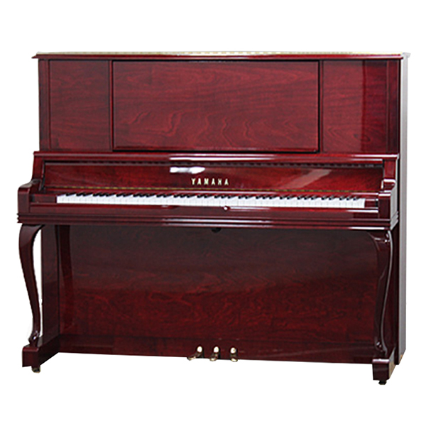 Music City – Tổng Kho Piano, Guitar, Organ | Dịch Vụ Giáo Dục Âm Nhạc