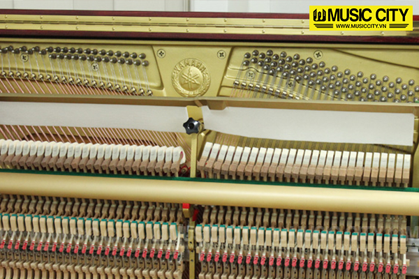Music City – Tổng Kho Piano, Guitar, Organ | Dịch Vụ Giáo Dục Âm Nhạc