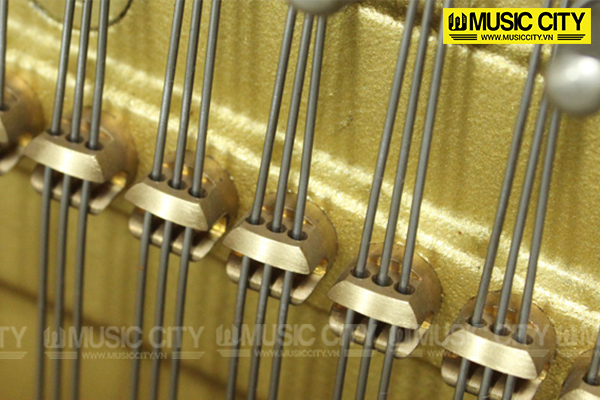Music City – Tổng Kho Piano, Guitar, Organ | Dịch Vụ Giáo Dục Âm Nhạc