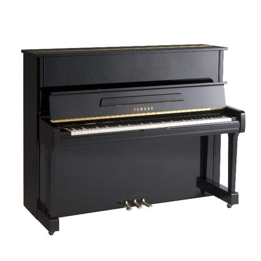 Music City – Tổng Kho Piano, Guitar, Organ | Dịch Vụ Giáo Dục Âm Nhạc