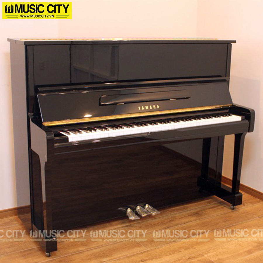 Music City – Tổng Kho Piano, Guitar, Organ | Dịch Vụ Giáo Dục Âm Nhạc