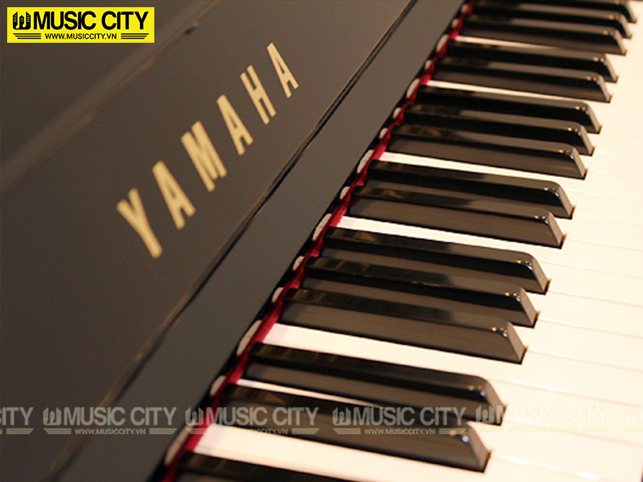 Music City – Tổng Kho Piano, Guitar, Organ | Dịch Vụ Giáo Dục Âm Nhạc