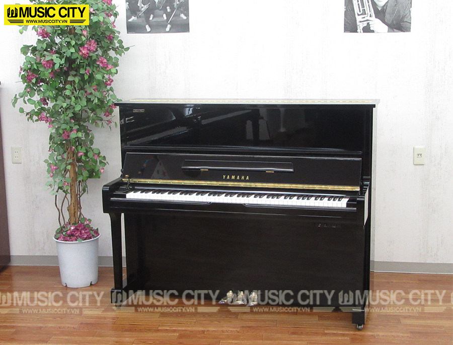 Music City – Tổng Kho Piano, Guitar, Organ | Dịch Vụ Giáo Dục Âm Nhạc