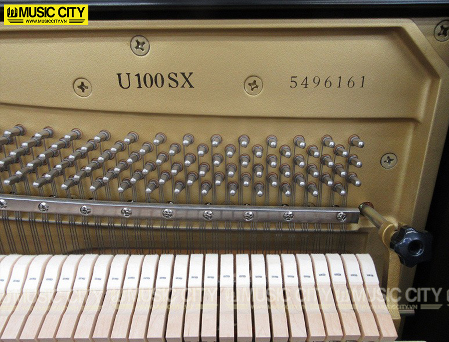 Music City – Tổng Kho Piano, Guitar, Organ | Dịch Vụ Giáo Dục Âm Nhạc