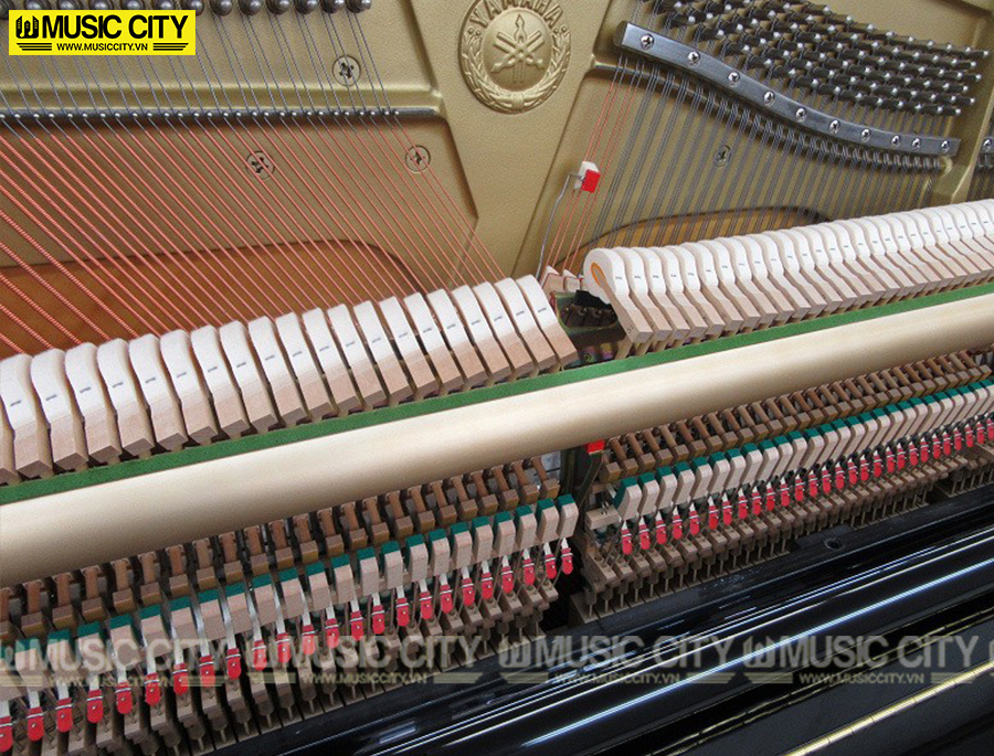 Music City – Tổng Kho Piano, Guitar, Organ | Dịch Vụ Giáo Dục Âm Nhạc