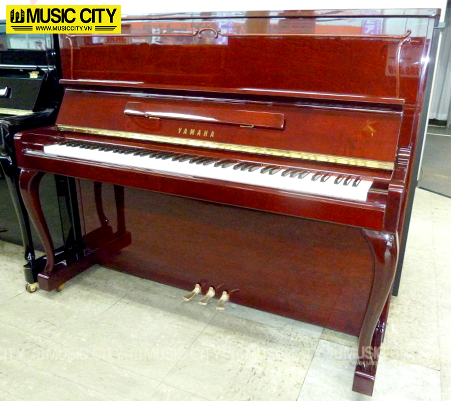 Music City – Tổng Kho Piano, Guitar, Organ | Dịch Vụ Giáo Dục Âm Nhạc