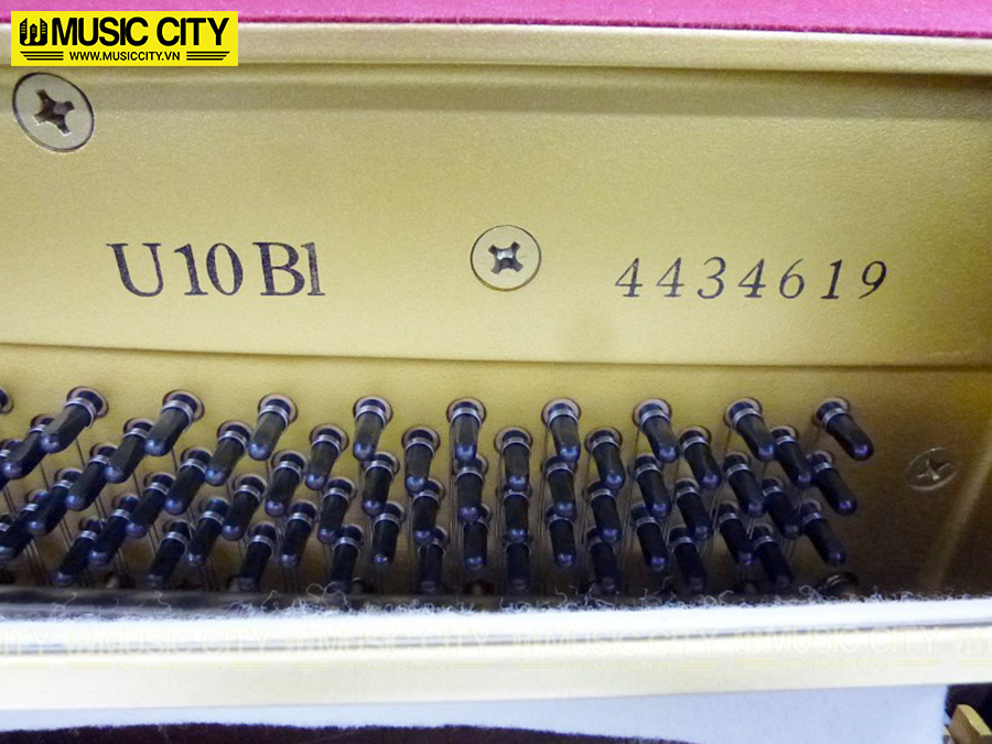 Music City – Tổng Kho Piano, Guitar, Organ | Dịch Vụ Giáo Dục Âm Nhạc