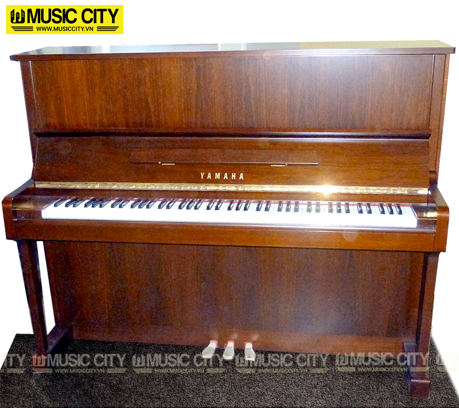 Music City – Tổng Kho Piano, Guitar, Organ | Dịch Vụ Giáo Dục Âm Nhạc