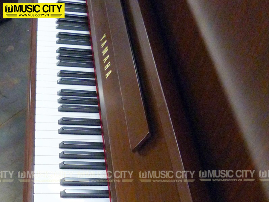 Music City – Tổng Kho Piano, Guitar, Organ | Dịch Vụ Giáo Dục Âm Nhạc
