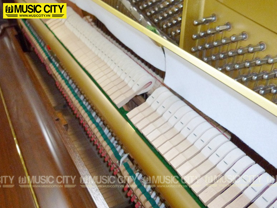 Music City – Tổng Kho Piano, Guitar, Organ | Dịch Vụ Giáo Dục Âm Nhạc