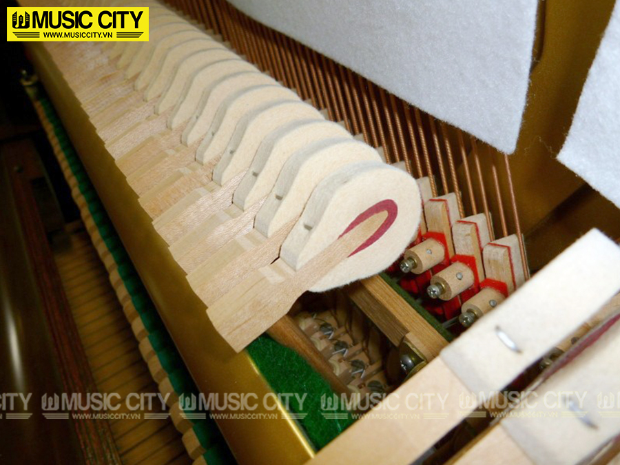 Music City – Tổng Kho Piano, Guitar, Organ | Dịch Vụ Giáo Dục Âm Nhạc