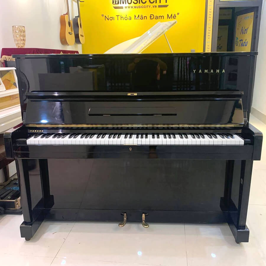 Music City – Tổng Kho Piano, Guitar, Organ | Dịch Vụ Giáo Dục Âm Nhạc