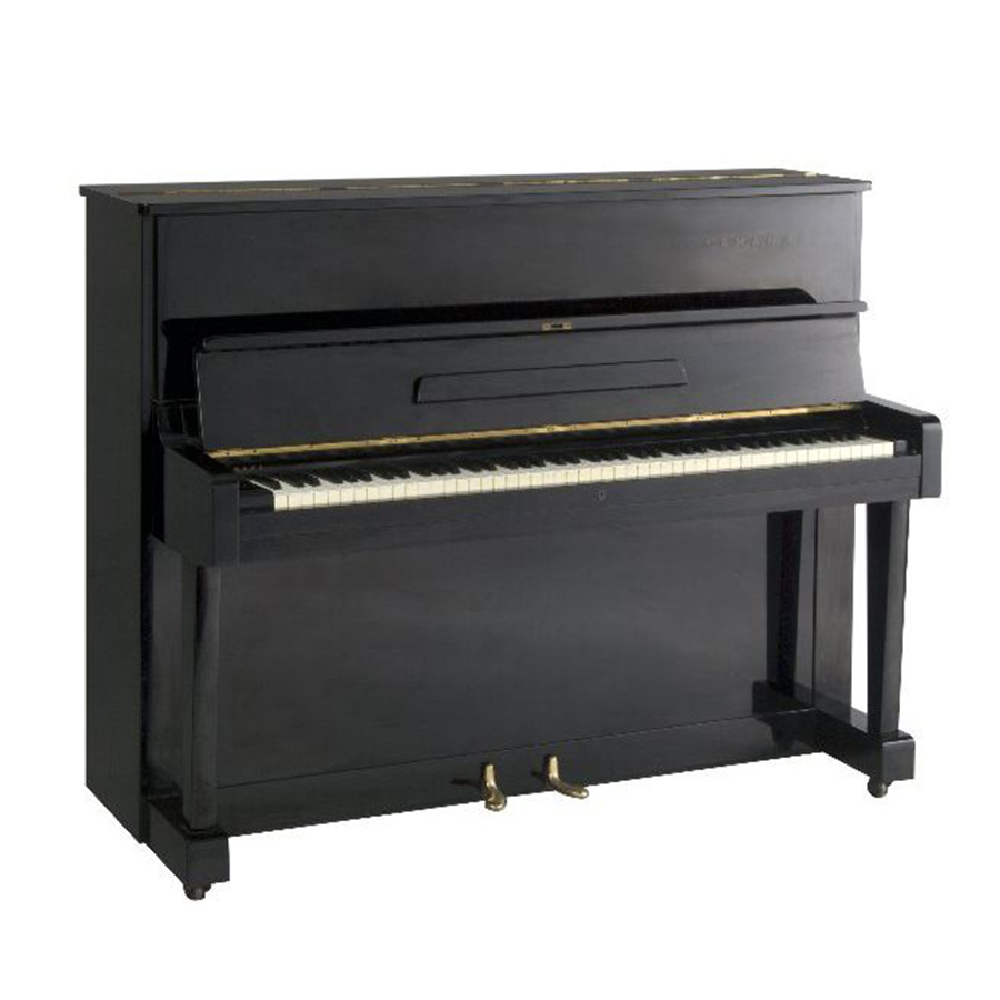 Music City – Tổng Kho Piano, Guitar, Organ | Dịch Vụ Giáo Dục Âm Nhạc