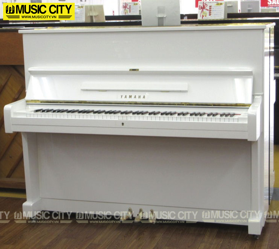 Music City – Tổng Kho Piano, Guitar, Organ | Dịch Vụ Giáo Dục Âm Nhạc