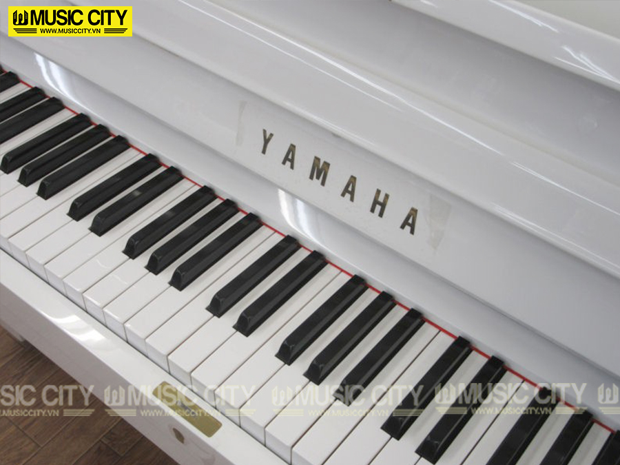 Music City – Tổng Kho Piano, Guitar, Organ | Dịch Vụ Giáo Dục Âm Nhạc