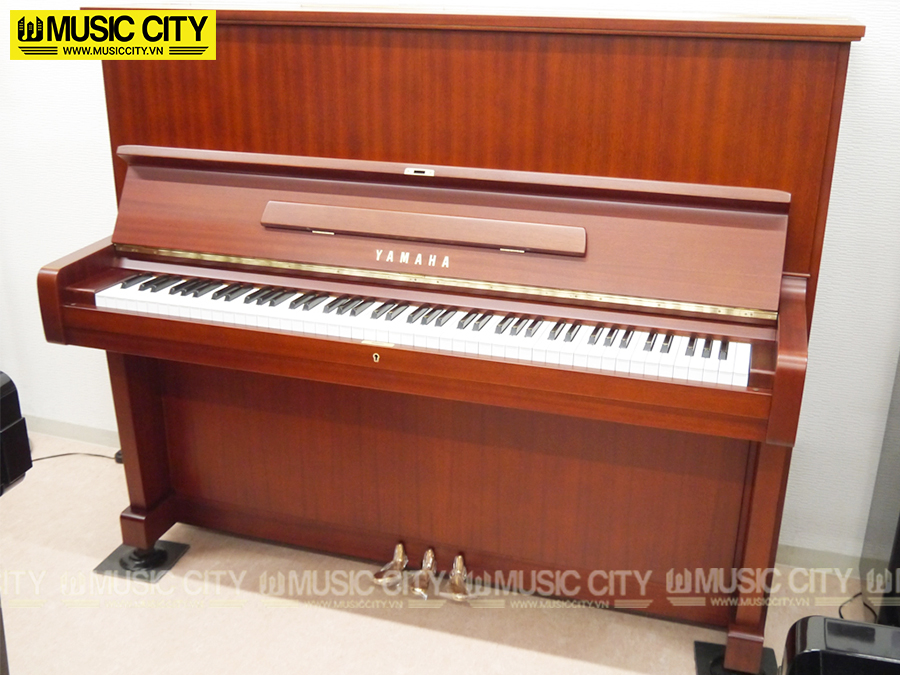 Music City – Tổng Kho Piano, Guitar, Organ | Dịch Vụ Giáo Dục Âm Nhạc