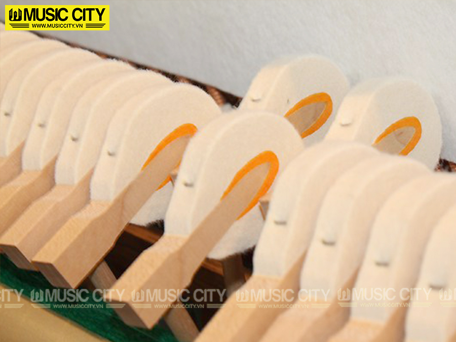 Music City – Tổng Kho Piano, Guitar, Organ | Dịch Vụ Giáo Dục Âm Nhạc