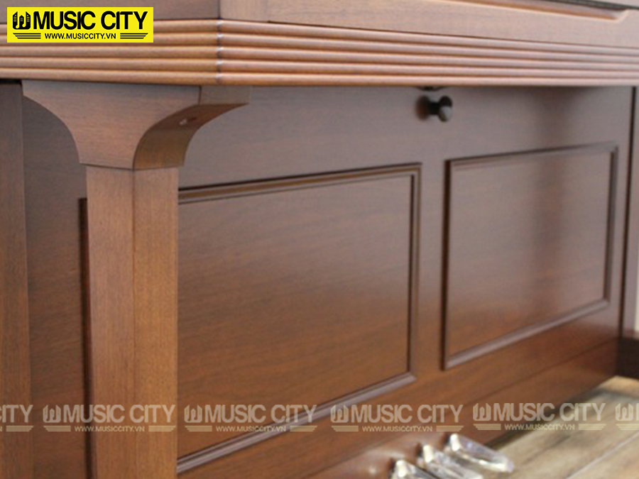 Music City – Tổng Kho Piano, Guitar, Organ | Dịch Vụ Giáo Dục Âm Nhạc