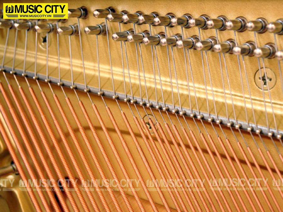 Music City – Tổng Kho Piano, Guitar, Organ | Dịch Vụ Giáo Dục Âm Nhạc