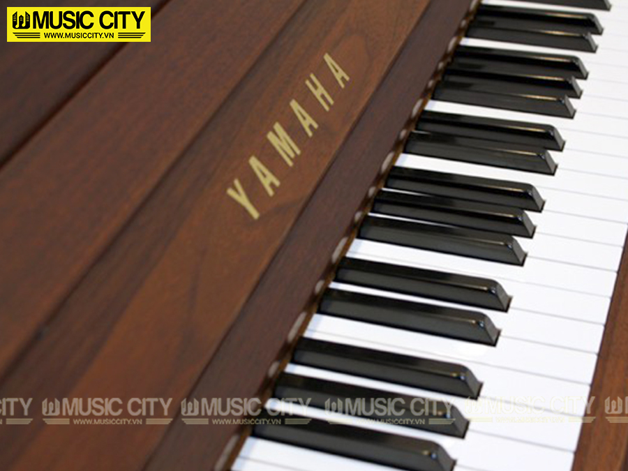 Music City – Tổng Kho Piano, Guitar, Organ | Dịch Vụ Giáo Dục Âm Nhạc