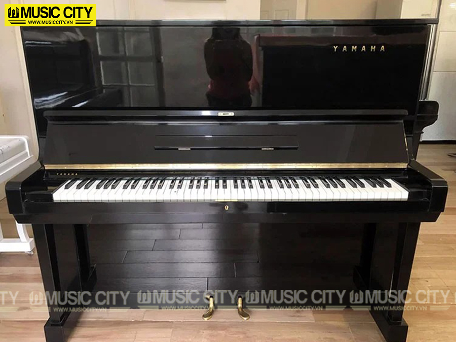 Music City – Tổng Kho Piano, Guitar, Organ | Dịch Vụ Giáo Dục Âm Nhạc