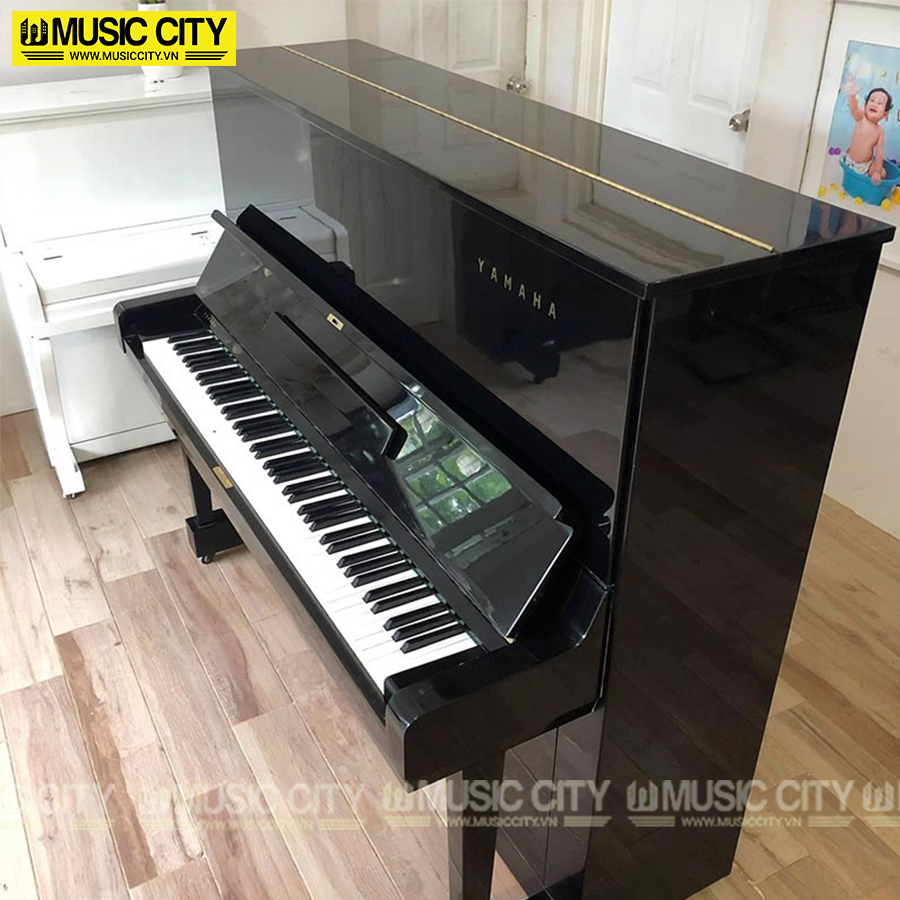 Music City – Tổng Kho Piano, Guitar, Organ | Dịch Vụ Giáo Dục Âm Nhạc