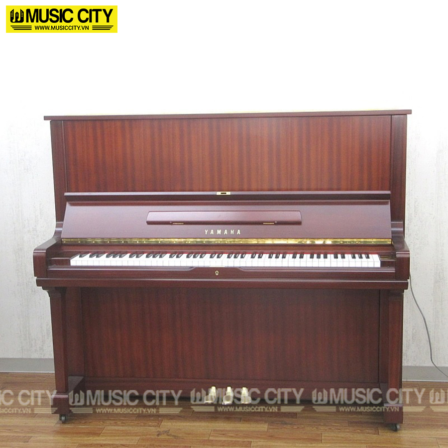 Music City – Tổng Kho Piano, Guitar, Organ | Dịch Vụ Giáo Dục Âm Nhạc