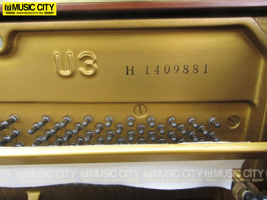 Music City – Tổng Kho Piano, Guitar, Organ | Dịch Vụ Giáo Dục Âm Nhạc