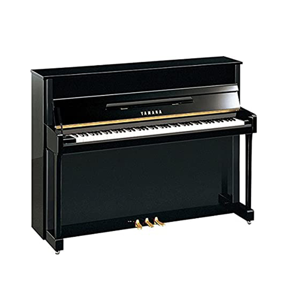 Music City – Tổng Kho Piano, Guitar, Organ | Dịch Vụ Giáo Dục Âm Nhạc