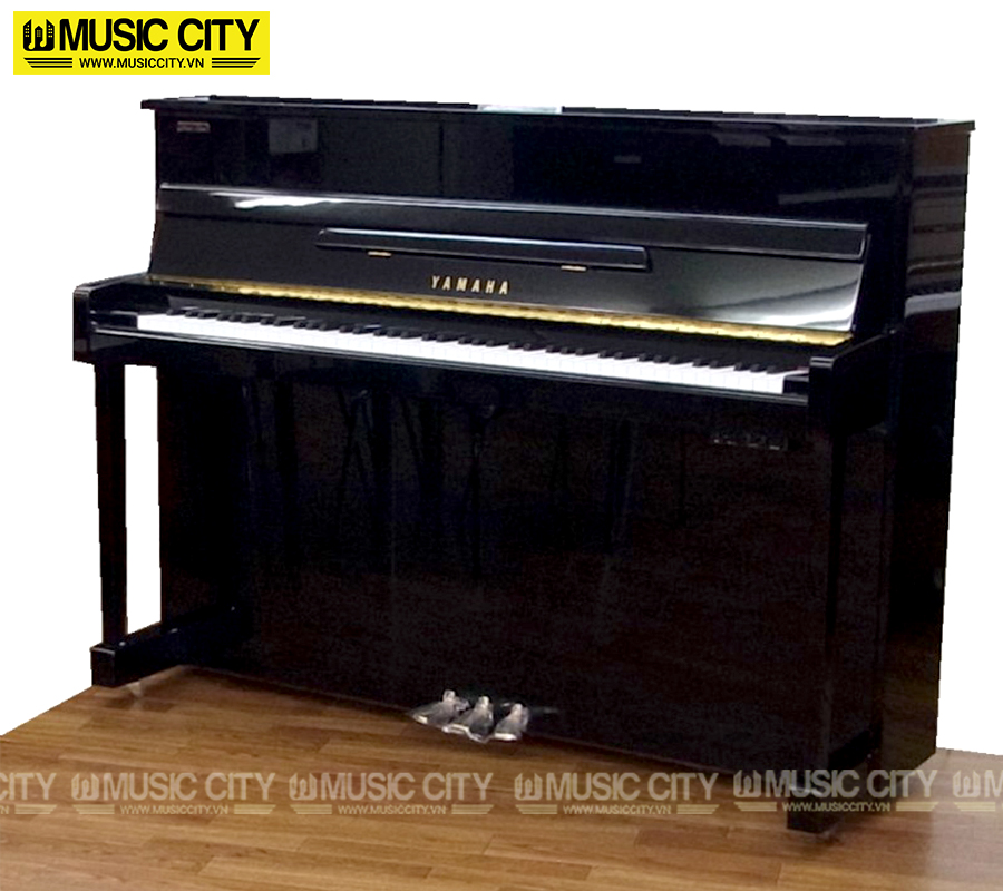 Music City – Tổng Kho Piano, Guitar, Organ | Dịch Vụ Giáo Dục Âm Nhạc