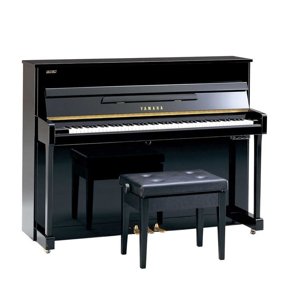 Music City – Tổng Kho Piano, Guitar, Organ | Dịch Vụ Giáo Dục Âm Nhạc