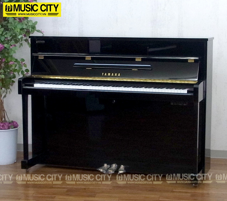 Music City – Tổng Kho Piano, Guitar, Organ | Dịch Vụ Giáo Dục Âm Nhạc