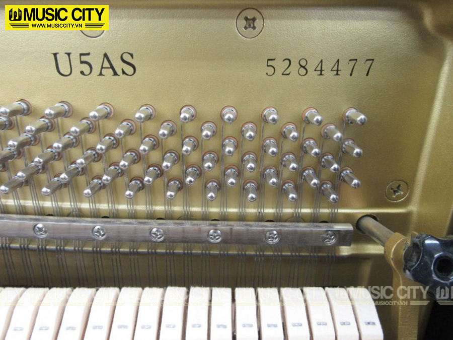 Music City – Tổng Kho Piano, Guitar, Organ | Dịch Vụ Giáo Dục Âm Nhạc