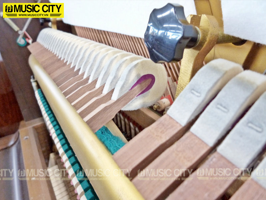 Music City – Tổng Kho Piano, Guitar, Organ | Dịch Vụ Giáo Dục Âm Nhạc