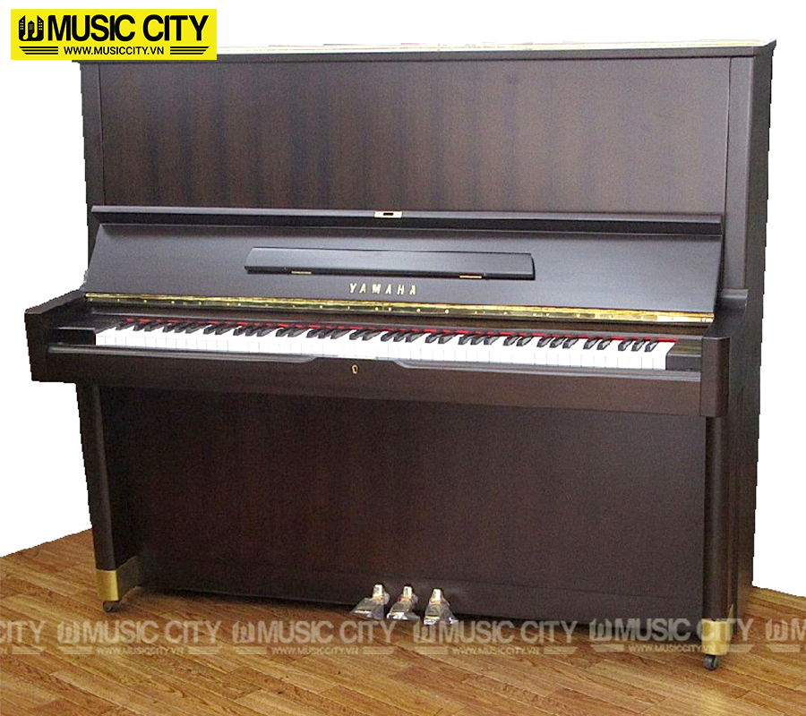 Music City – Tổng Kho Piano, Guitar, Organ | Dịch Vụ Giáo Dục Âm Nhạc