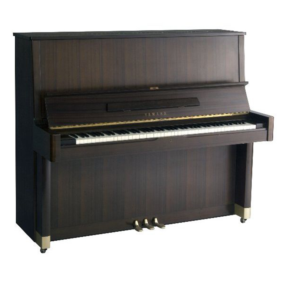 Music City – Tổng Kho Piano, Guitar, Organ | Dịch Vụ Giáo Dục Âm Nhạc