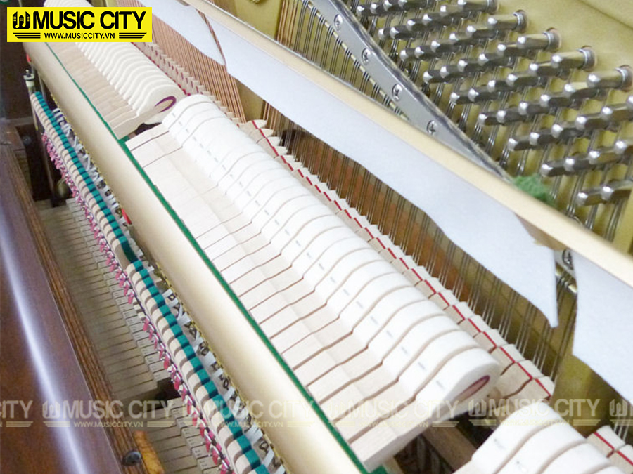 Music City – Tổng Kho Piano, Guitar, Organ | Dịch Vụ Giáo Dục Âm Nhạc