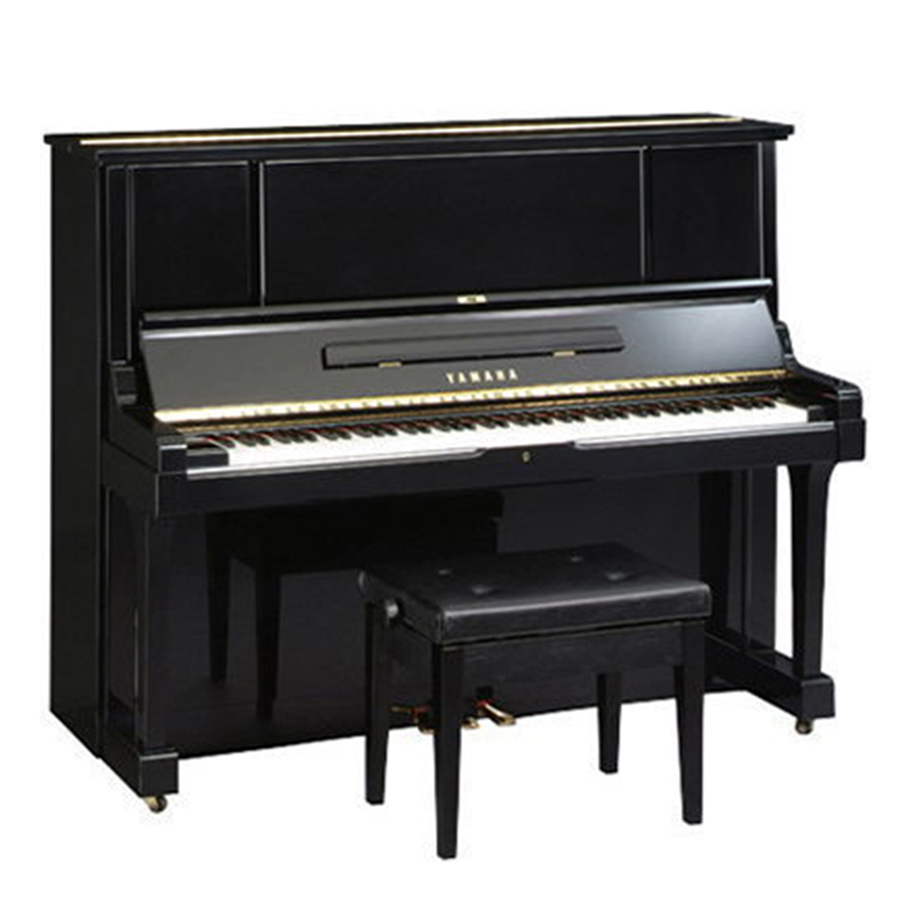 Music City – Tổng Kho Piano, Guitar, Organ | Dịch Vụ Giáo Dục Âm Nhạc