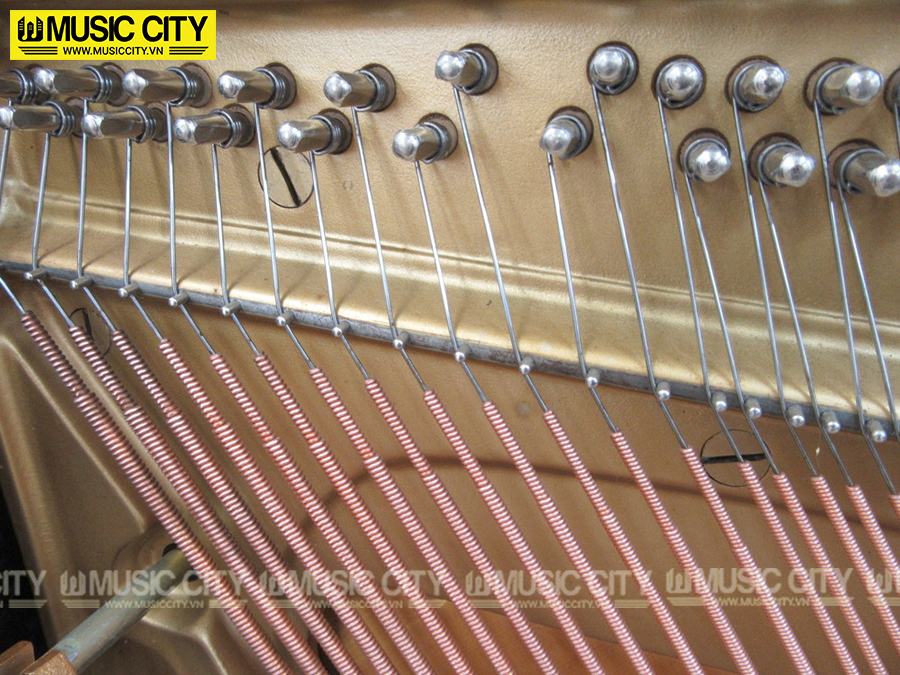 Music City – Tổng Kho Piano, Guitar, Organ | Dịch Vụ Giáo Dục Âm Nhạc
