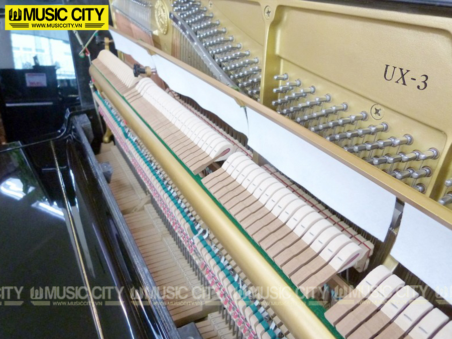Music City – Tổng Kho Piano, Guitar, Organ | Dịch Vụ Giáo Dục Âm Nhạc