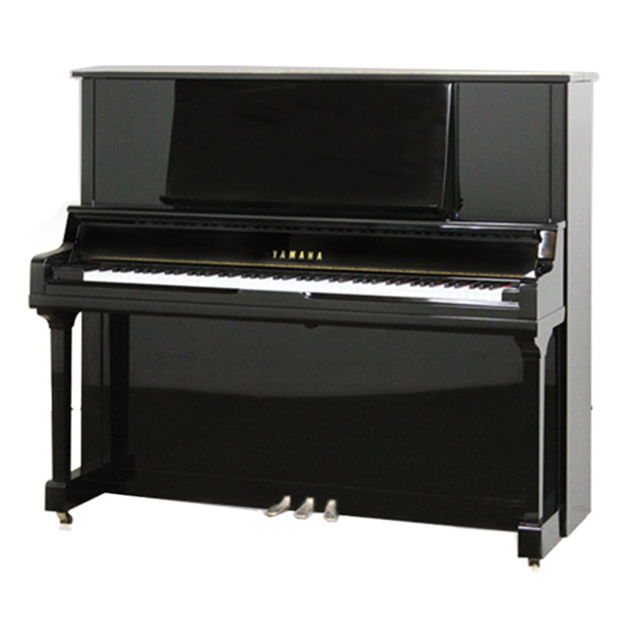 Music City – Tổng Kho Piano, Guitar, Organ | Dịch Vụ Giáo Dục Âm Nhạc
