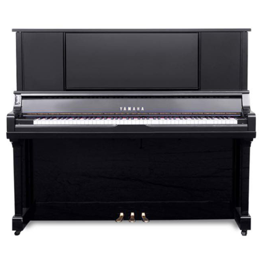 Music City – Tổng Kho Piano, Guitar, Organ | Dịch Vụ Giáo Dục Âm Nhạc