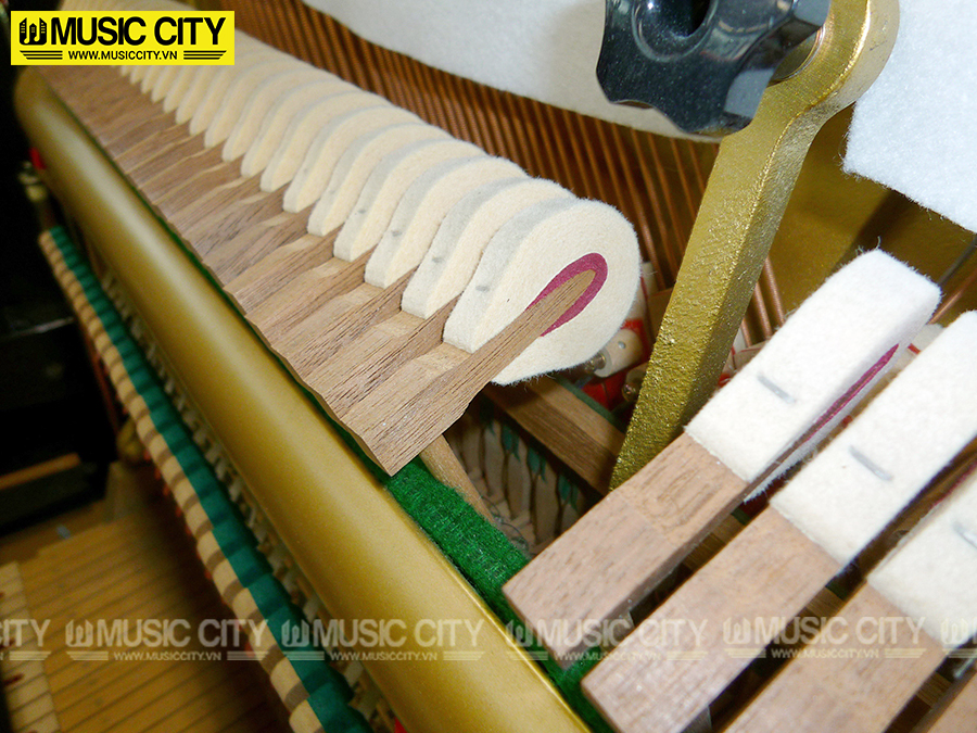 Music City – Tổng Kho Piano, Guitar, Organ | Dịch Vụ Giáo Dục Âm Nhạc