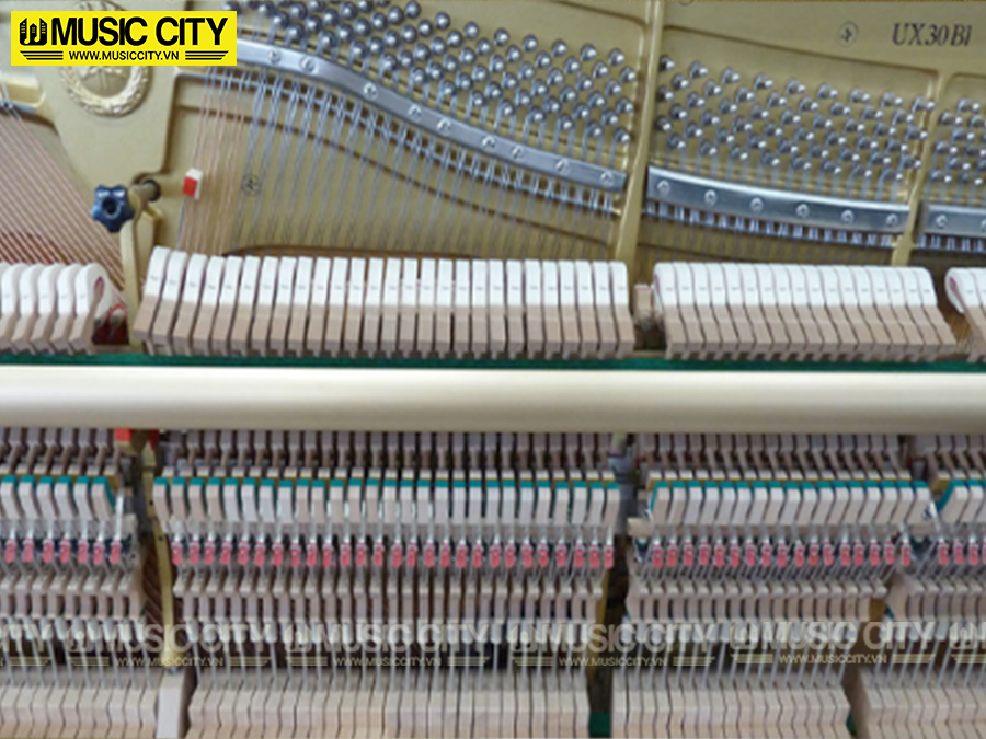 Music City – Tổng Kho Piano, Guitar, Organ | Dịch Vụ Giáo Dục Âm Nhạc