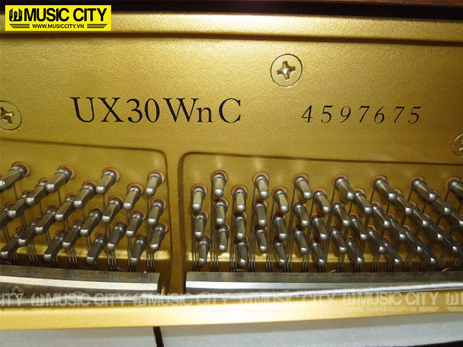 Music City – Tổng Kho Piano, Guitar, Organ | Dịch Vụ Giáo Dục Âm Nhạc