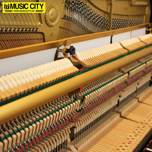 Music City – Tổng Kho Piano, Guitar, Organ | Dịch Vụ Giáo Dục Âm Nhạc