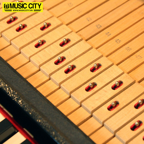 Music City – Tổng Kho Piano, Guitar, Organ | Dịch Vụ Giáo Dục Âm Nhạc