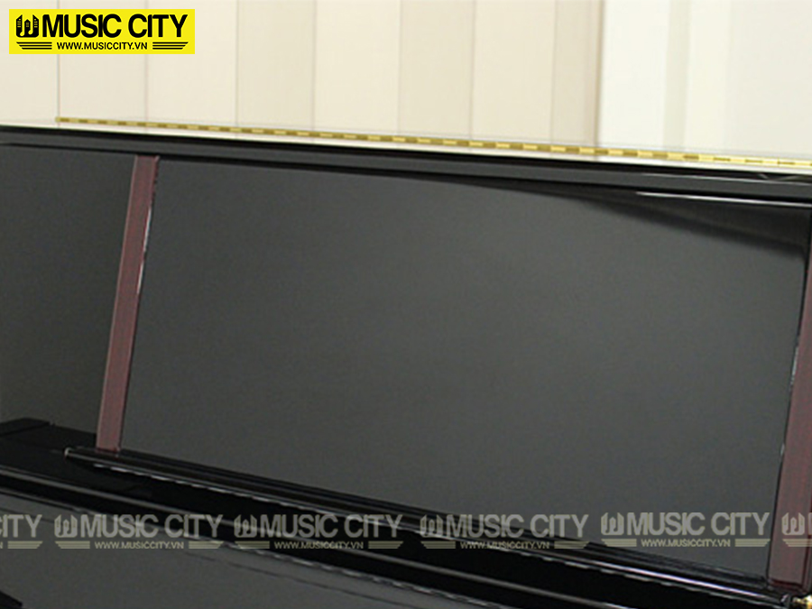 Music City – Tổng Kho Piano, Guitar, Organ | Dịch Vụ Giáo Dục Âm Nhạc