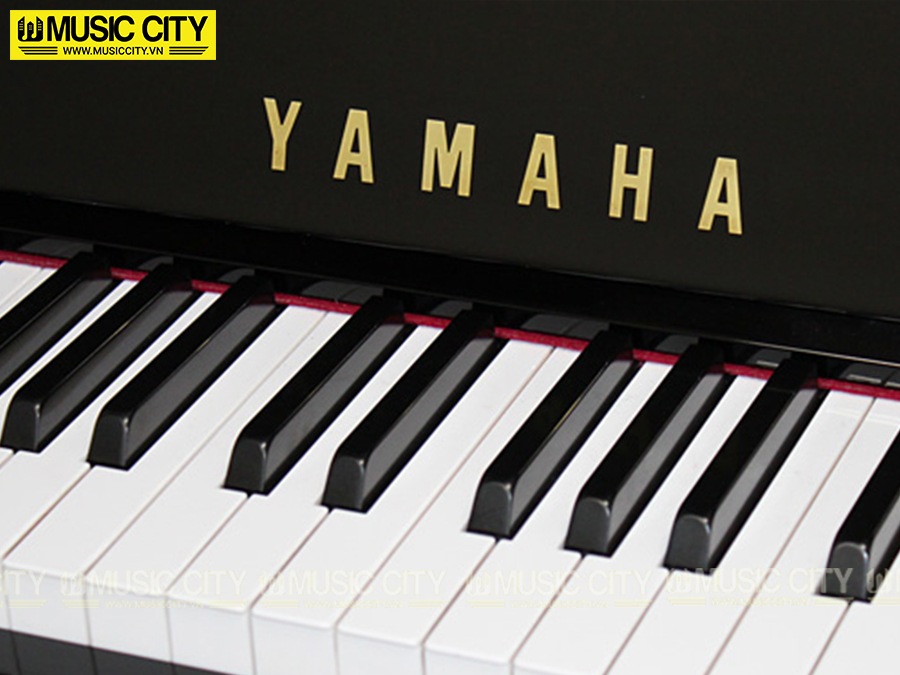 Music City – Tổng Kho Piano, Guitar, Organ | Dịch Vụ Giáo Dục Âm Nhạc