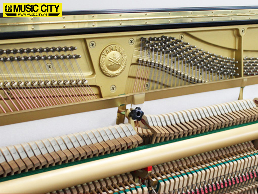 Music City – Tổng Kho Piano, Guitar, Organ | Dịch Vụ Giáo Dục Âm Nhạc